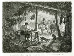 Et taxidermi-laboratorium i urskoven, i regionen Llanos (Colombia), tegning af Riou, for at illustrere historien om Equinoxiale America (Colombia, Ecuador, Peru), i 1875-1876, af Ed. andre, rejsemissionsafgift fra den franske regering. Engra af Edouard Riou