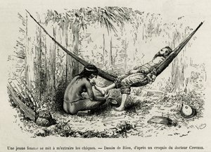 En ung Roucouyan-kvinde udtrækker de shies, der har strålet opdagelsesrejsendes fødder i løbet af natten. Gravering af Riou, for at illustrere historien om Cayenne aux Andes, af Jules Crevaux, læge for den franske flåde, i 1878-1879, offentliggjort i Tour  af Edouard Riou