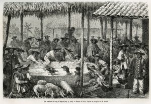 Hanekamp og gadeanimation i Ibague (Colombia), tegning af Riou, for at illustrere historien om Equinoxiale America (Colombia, Ecuador, Peru), i 1875-1876, af Ed. andre, rejsemissionsafgift fra den franske regering. Indgravering i Le tour du monde af Edouard Riou
