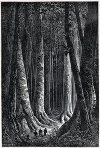 Fransk Guyana Skov, tegning af Riou, "" Le Tour du Monde", 2. sem. 1879.