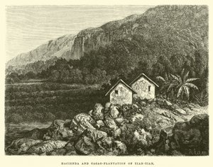 Hacienda og kakao-plantage af Tian-tian af Edouard Riou