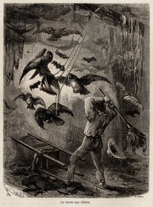 Jagt på ugler, der er tilflugt i kirken Sarayacu (Peru), tegning af Riou, for at illustrere Paul Marcoys rejse fra Stillehavet til Atlanterhavet fra 1848 til 1860. Indgravering i "" Le tour du monde"", redigeret af Edouard Charton