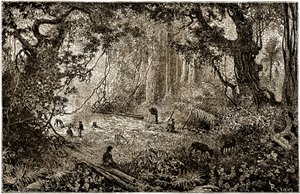 Installation af en opdagelsesrejsendes lejr i Guatemala (1882) af Edouard Riou