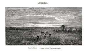 Los Llanos, Venezuela, 1800-tallet af Edouard Riou