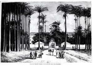 Place des Palmistes, Cayenne, Guyana af Edouard Riou