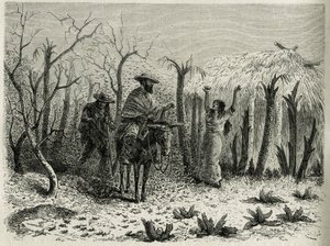 The Clouds of Grasshoppers of the Vallee du Upper Patia, med på sit muldyr rejsefortælleren, gravering af Riou, for at illustrere historien L