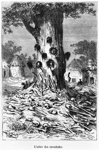 Kannibalernes træ, illustration fra 