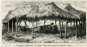 Trapichen eller sukkermøllen til at male stokkene i Panche (Colombia), tegning af Riou, for at illustrere historien om Equinoxiale America (Colombia, Ecuador, Peru), i 1875-1876, af Ed. andre, rejsemissionsafgift fra den franske regering. Indgravering i Le af Edouard Riou