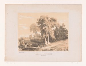 Landschapsstudie (titel på objekt) af Edouard Taurel