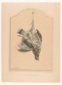 Død hunhalsbånd hængende på det ene ben La gélinotte (kvinde) (titel på objekt) Jægerens museum (serietitel) Musée du chasseur (serietitel på objekt) af Edouard Travies