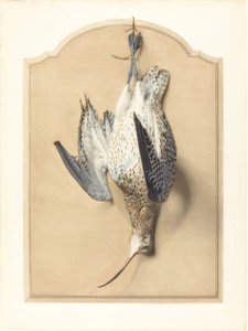 Trompe lOeil: En Curlew, der hænger fra et søm af Edouard Travies