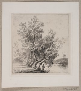 Piletræer ved stadsgraven