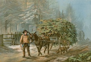 Holly Cart (farve litho)