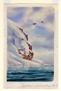 Cape Wadsworth, Coulman Island (wc på papir) af Edward Adrian Wilson
