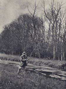 Tidligt forår på Kennet (s/h-foto)