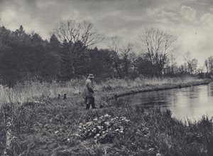 Forårets første kongekroner (s/h-foto) af Edward Alfred Barton