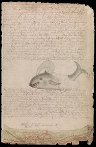Planche fra Edward Barlows dagbog om hans liv til søs på kongeskibe, øst- og vestindiske skibe og andre handelsskibe fra 1659 til 1703. af Edward Barlow