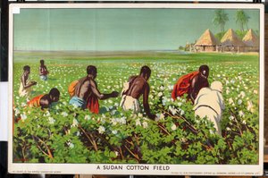 A Sudan Cotton Field, fra serien 