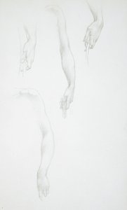 Studier af arme og hænder (forsiden); Studie af en kvindelig torso (bagsiden) af Edward Burne-Jones