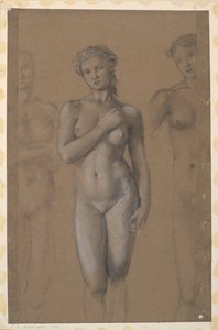Kvinde nøgen - Tre studier, muligvis for Venus