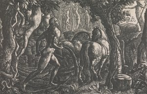 Plovmanden af Edward Calvert