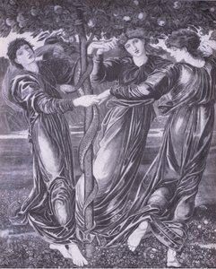 Hesperides have, Bibby