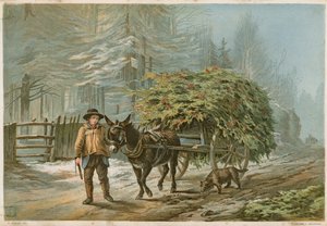 En mand, der leder et æsel