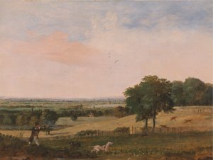 Agerhønsskydning af Edward Duncan