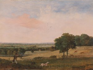 Skydning af agerhøns af Edward Duncan