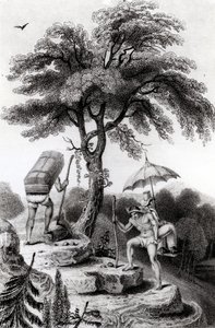 Udsigt over passet fra Quindio, illustration fra 