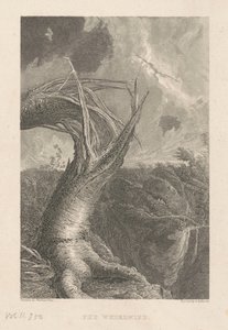 Hvirvelvinden af Edward Gallaudet, after Thomas Cole