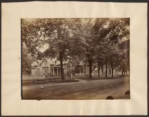 [Huse, Maple City]