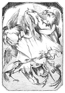 Æselkålene, 1901