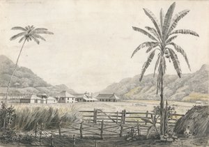 Udsigt over Hall-head Sugar Plantation, Jamaica af Edward Kennion