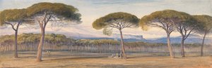 Udsigt over fyrreskoven over Cannes af Edward Lear