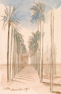 Træernes allé af Edward Lear