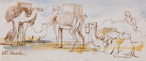 Kameler af Edward Lear