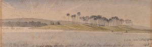Øen Dhoura af Edward Lear