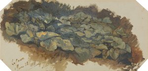 La Cava af Edward Lear