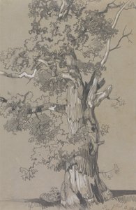 Parham, 13. oktober 1834 af Edward Lear