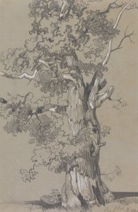 Parham, 13. oktober 1834 af Edward Lear