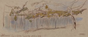 Pettenasco, Ortasøen af Edward Lear