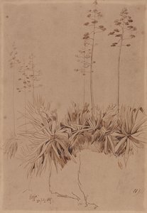 Reggio af Edward Lear
