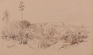 Reggio, 26. juli 1847 af Edward Lear