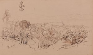 Reggio, den 26. juli 1847 af Edward Lear