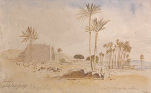 Tapha, kl. 7.50, 17. februar 1867 af Edward Lear