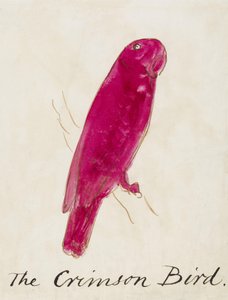 The Crimson Bird, fra Sixteen Drawings of Comic Birds (pen & blæk wc på papir) af Edward Lear