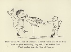 Der var en gammel mand fra Dunrose; en papegøje greb fat i hans næse af Edward Lear