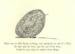 Der var en gammel person fra Brigg, som købte ingen ende af en paryk af Edward Lear