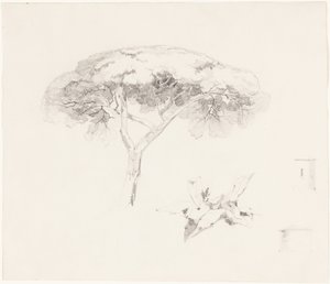 Paraplyfyr og andre studier af Edward Lear